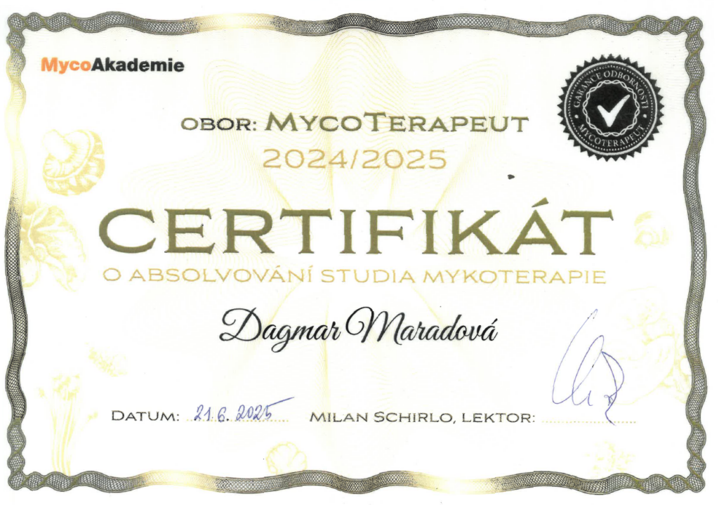 Certifikát Dagmar Maradové o absolvování studia mykoterapie v oboru Mykoterapeut, vydaný MycoAkademií v roce 2025.