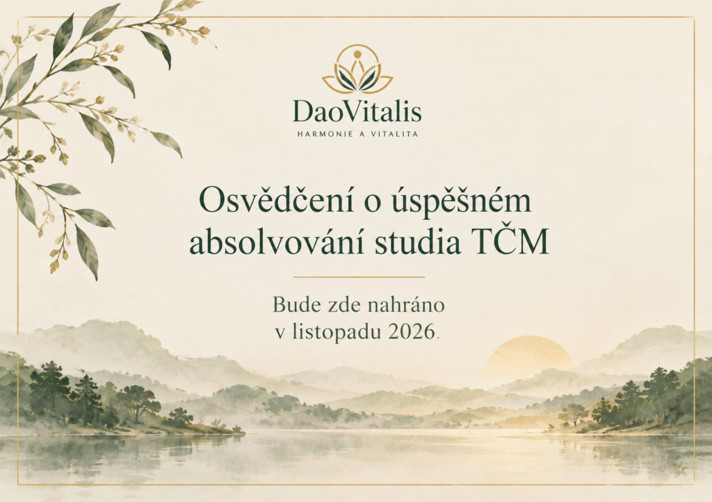 DaoVitalis – ilustrační grafika k osvědčení o absolvování studia tradiční čínské medicíny.
